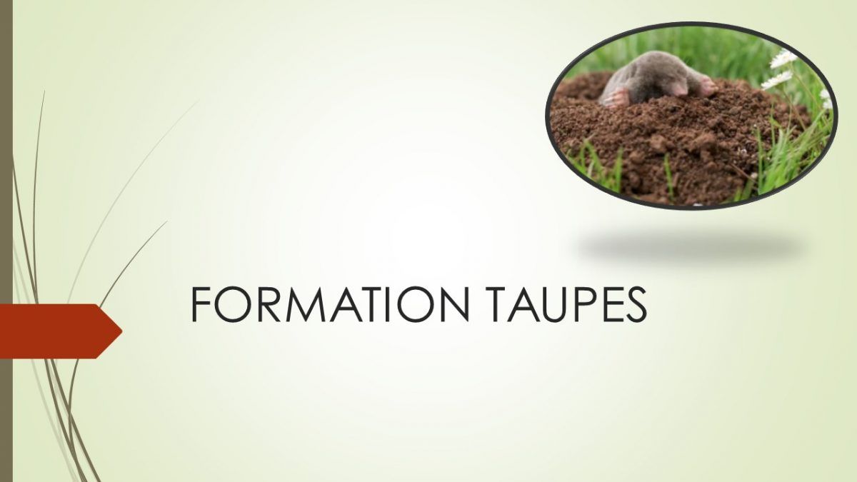Formation taupes